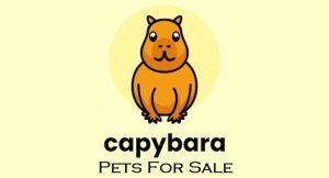 Capybara baby pets available for sale